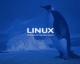 Linux  ,   